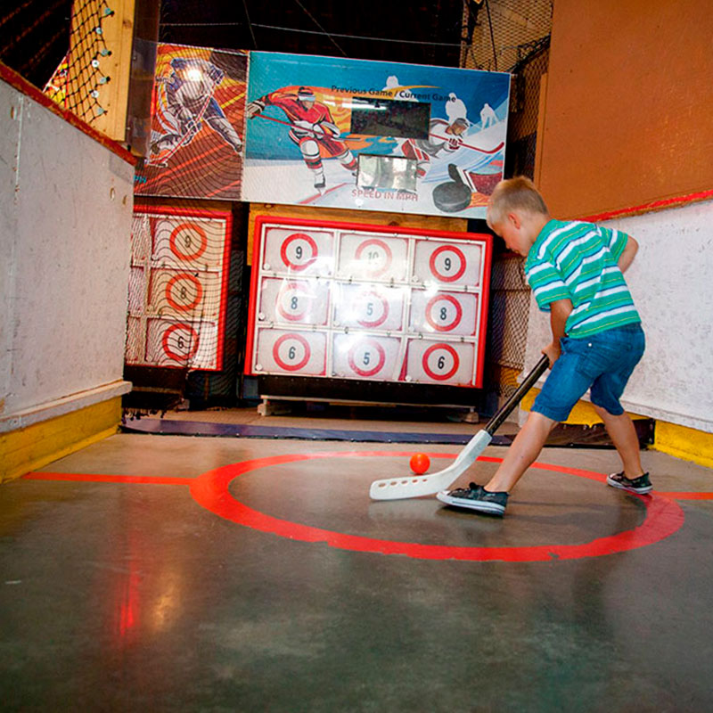 Young Boy On Target Hockey